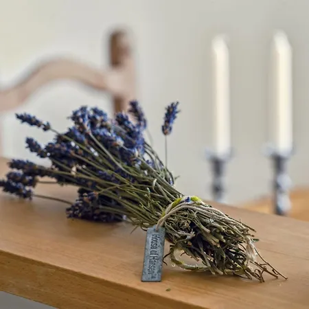 Daniela - 300m From The Sea By Interhome